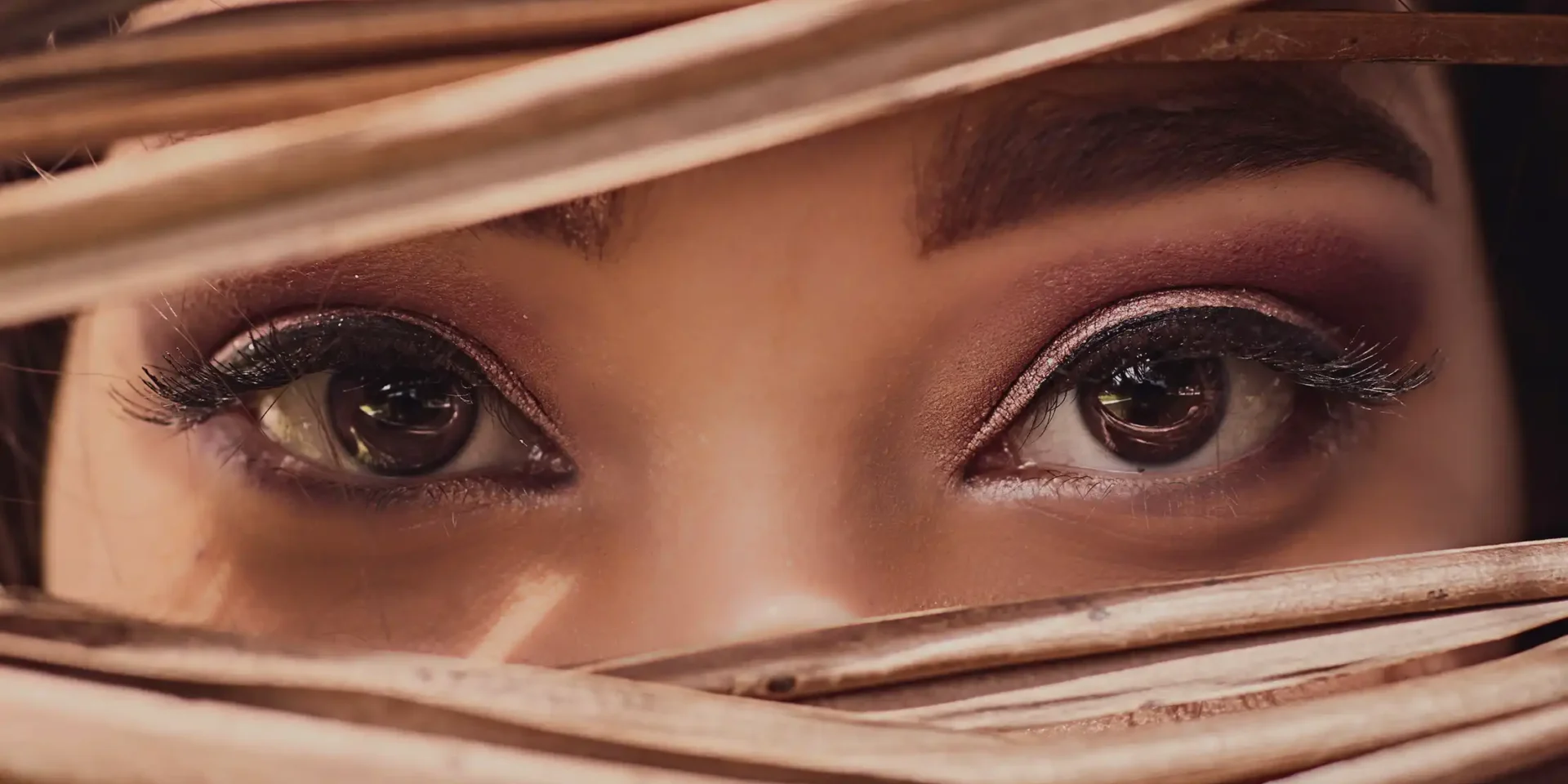 Eyelash tinting for fuller lashes by Halo Beauty experts